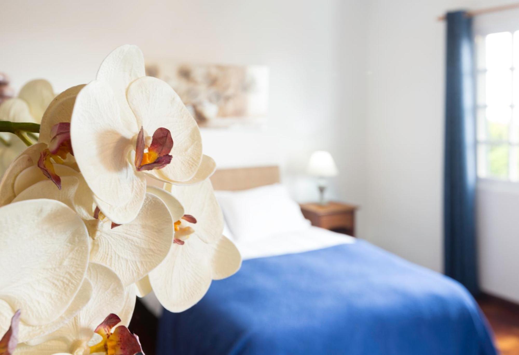Charming Apartments In Funchal - Sao Goncalo Cameră foto